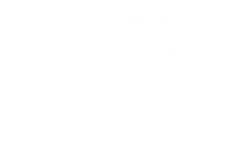 Royal Jungle Group
